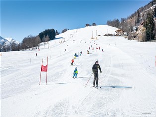 Details zum Ferienhaus Österreich