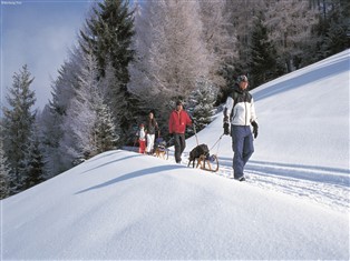 Details zur Ferienwohnung Tirol