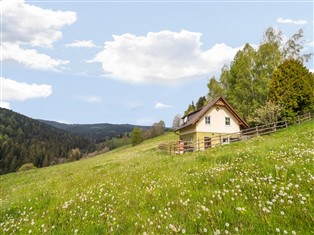 Details zur Ferienwohnung Kärnten