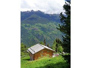 Details zum Ferienhaus Schweiz