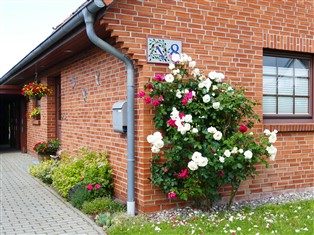 Details zur Ferienwohnung Mecklenburg-Vorpommern / Kreis Rostock