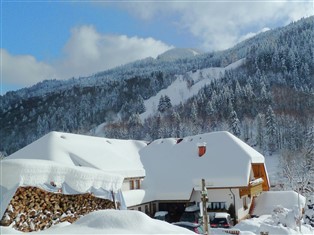 Details zur Ferienwohnung Baden-Württemberg / Schwarzwald