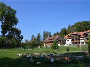 Details zur Ferienwohnung Baden-Württemberg / Schwarzwald