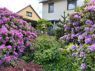 Details zur Ferienwohnung Thüringen / Thüringer Wald-Schiefergebirge