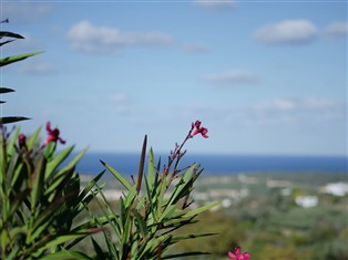 Details zur Ferienwohnung Kreta