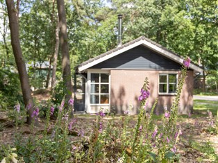 Details zum Ferienhaus Nord-Brabant