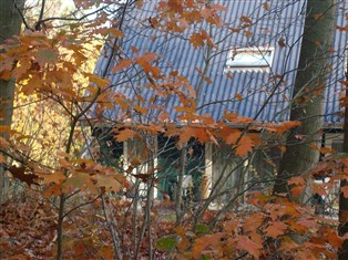 Details zum Ferienhaus Overijssel