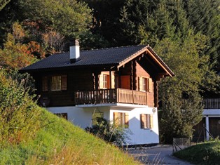 Details zum Ferienhaus Freiburg