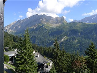 Details zur Ferienwohnung Waadtländer Alpen