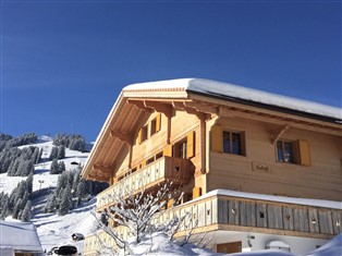 Details zur Ferienwohnung Berner Oberland