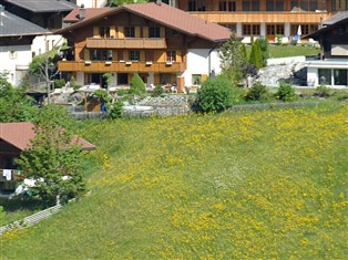 Details zur Ferienwohnung Berner Oberland