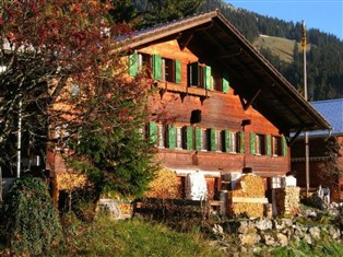 Details zur Ferienwohnung Berner Oberland