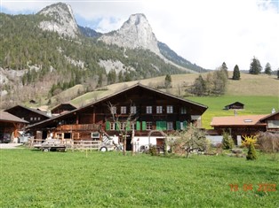 Details zur Ferienwohnung Berner Oberland