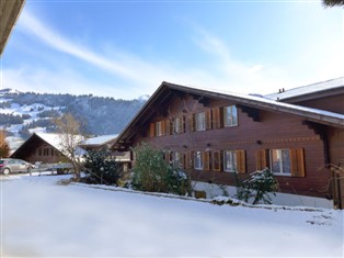 Details zur Ferienwohnung Berner Oberland