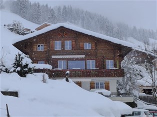 Details zur Ferienwohnung Berner Oberland