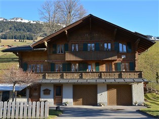 Details zur Ferienwohnung Berner Oberland