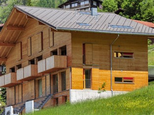 Details zur Ferienwohnung Berner Oberland