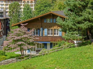 Details zum Ferienhaus Berner Oberland