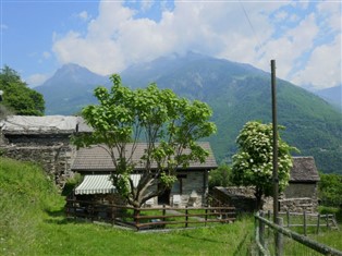 Details zum Ferienhaus Tessin