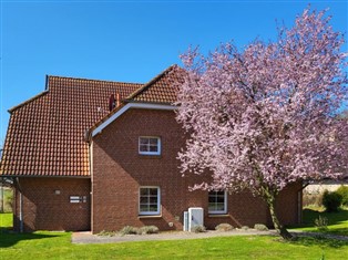 Details zur Ferienwohnung Mecklenburg-Vorpommern / Insel Rügen