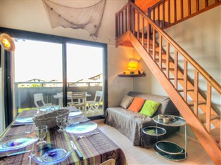 Details zur Ferienwohnung Nouvelle-Aquitaine / Aquitainen