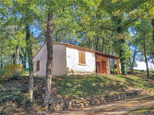 Details zum Ferienhaus Nouvelle-Aquitaine / Dordogne-Lot