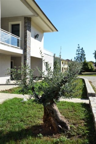 Details zur Ferienwohnung Frankreich