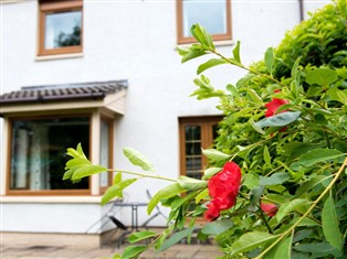 Details zum Ferienhaus Schottland