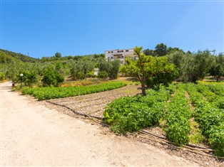 Details zur Ferienwohnung Puglia-Apulien