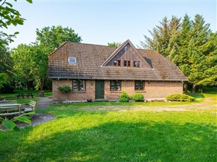 Details zum Ferienhaus Westjütland