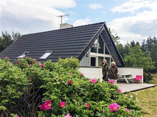 Details zum Ferienhaus Dänemark