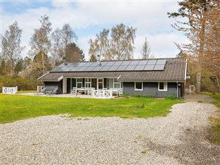Details zum Ferienhaus Dänemark