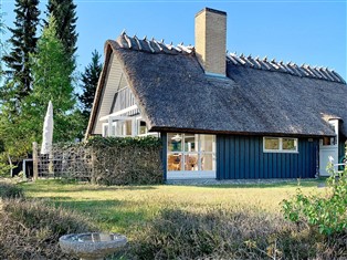 Details zum Ferienhaus Dänemark